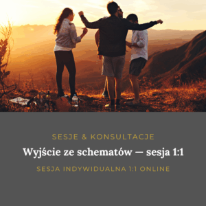 Sesja 1:1 Wyjście ze schematów